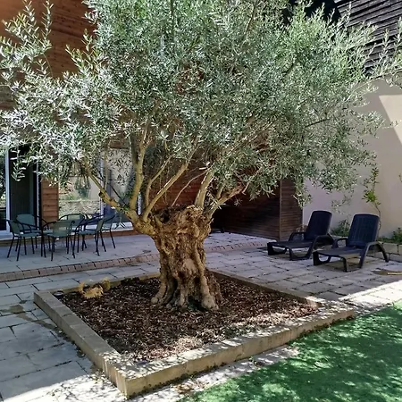 Le Viviani, Maison D'exception Avec Piscine Interieure Et Sauna Vakantiehuis *